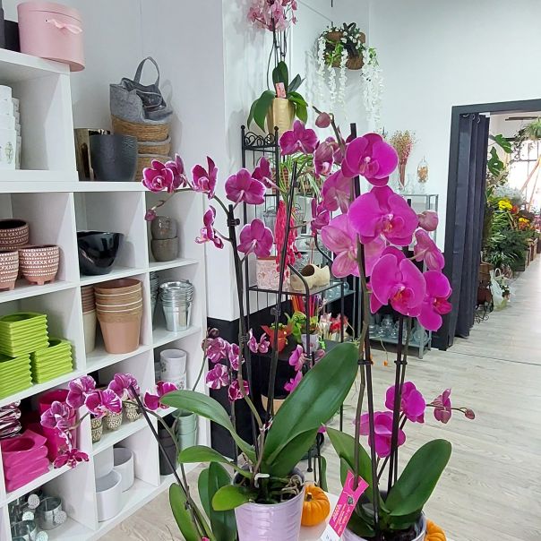 Atelier Art Floral à Montargis et Ferrières-en-Gâtinais