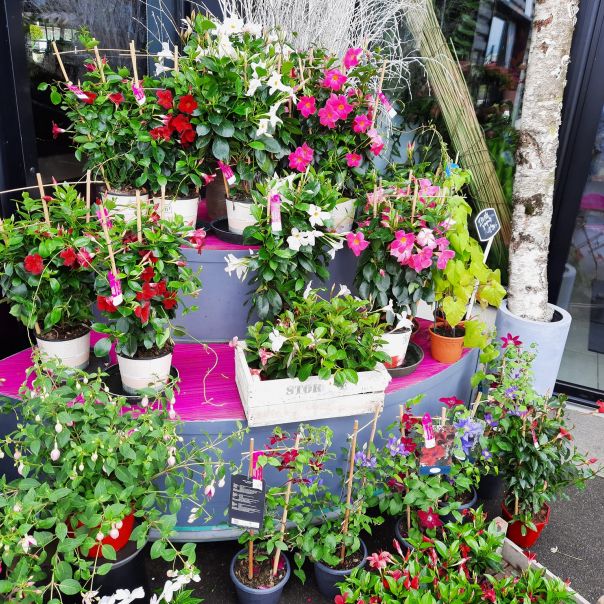 Artisan Fleuriste Décorateur Montargis