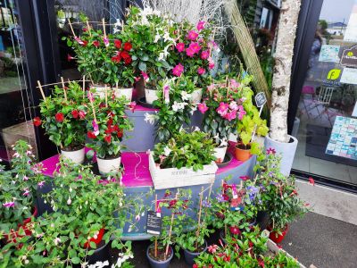 Artisan Fleuriste Décorateur Montargis