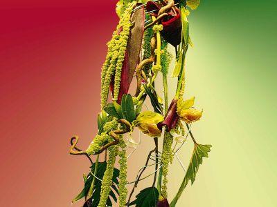 Bouquet de mariés retombant Montargis